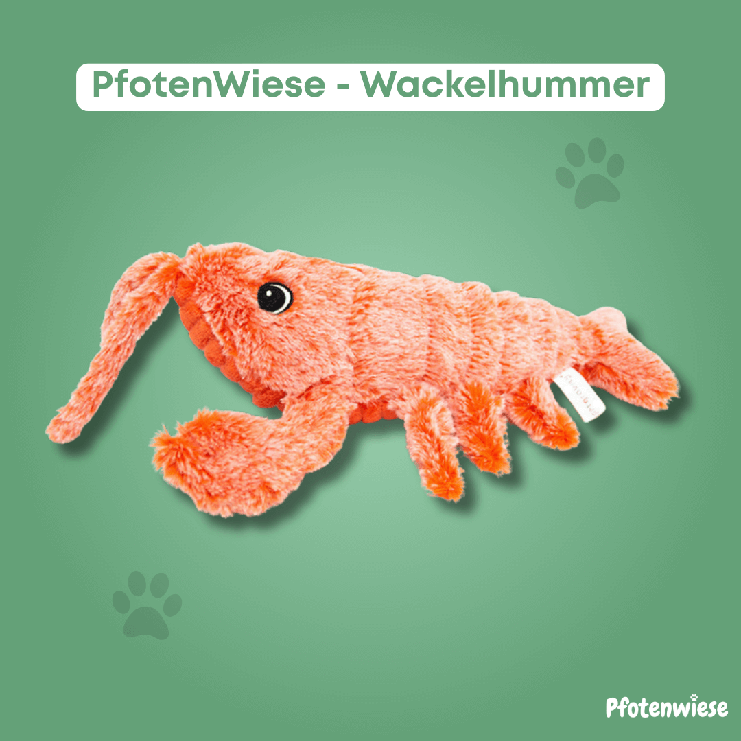 Wackel Hummer - Interaktives Hundespielzeug