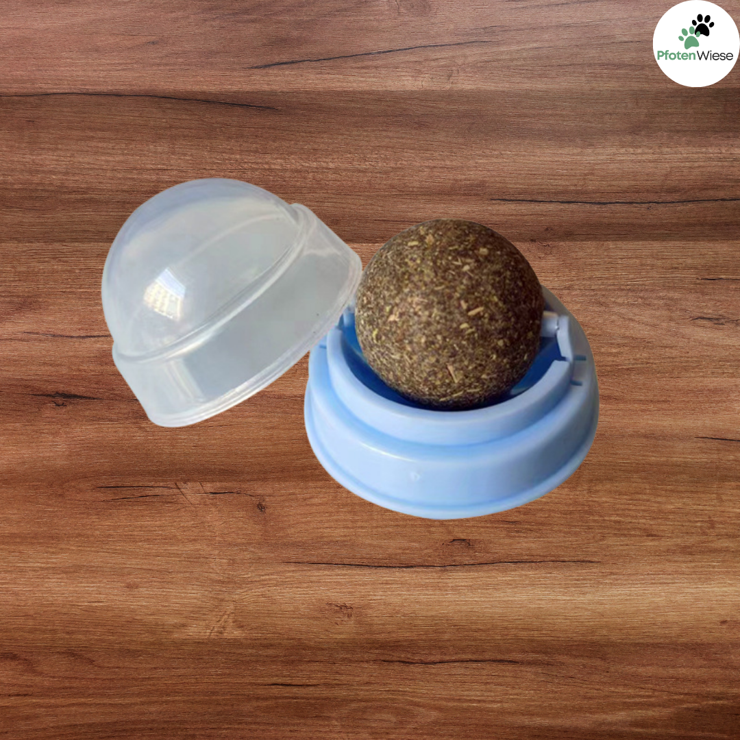 Pfoten Wiese - Katzenminze