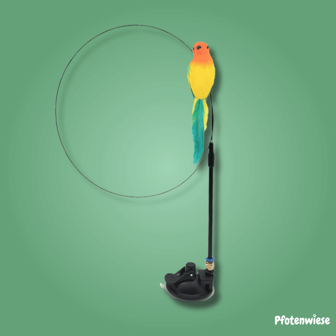 Pfoten Wiese - Interaktives Vogelspielzeug