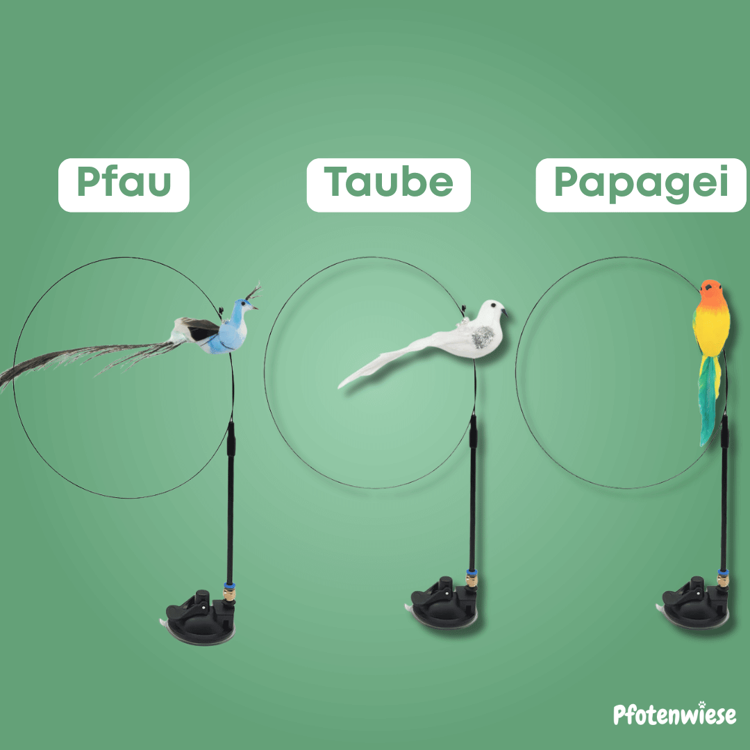 Pfoten Wiese - Interaktives Vogelspielzeug