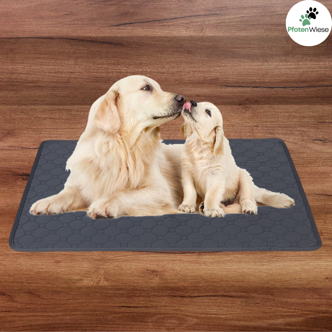 Pfoten Wiese - Waschbare Pipimatte für Hunde