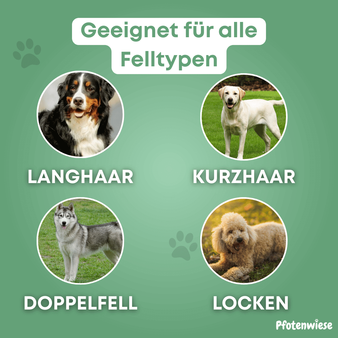 Pfoten Wiese - Fellzauber Bürste