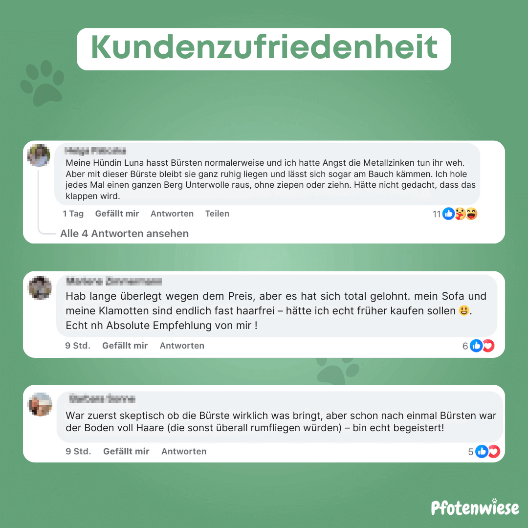 Pfoten Wiese - Fellzauber Bürste
