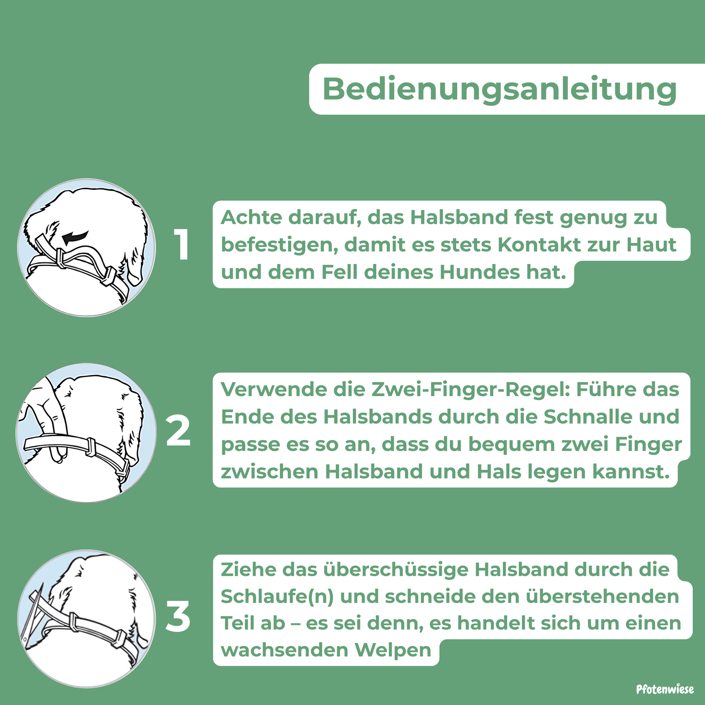 Natürliches Zecken - und Flohschutz Halsband