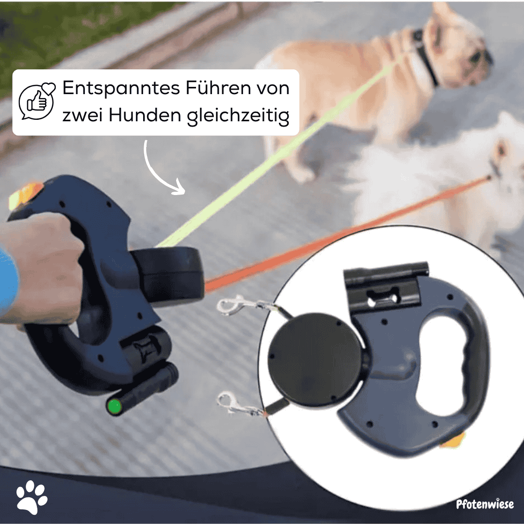 Pfotenwiese - Anti-Wickel Doppel Hundleine