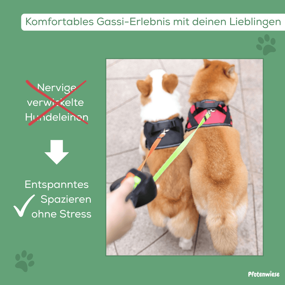 Pfotenwiese - Anti-Wickel Doppel Hundleine