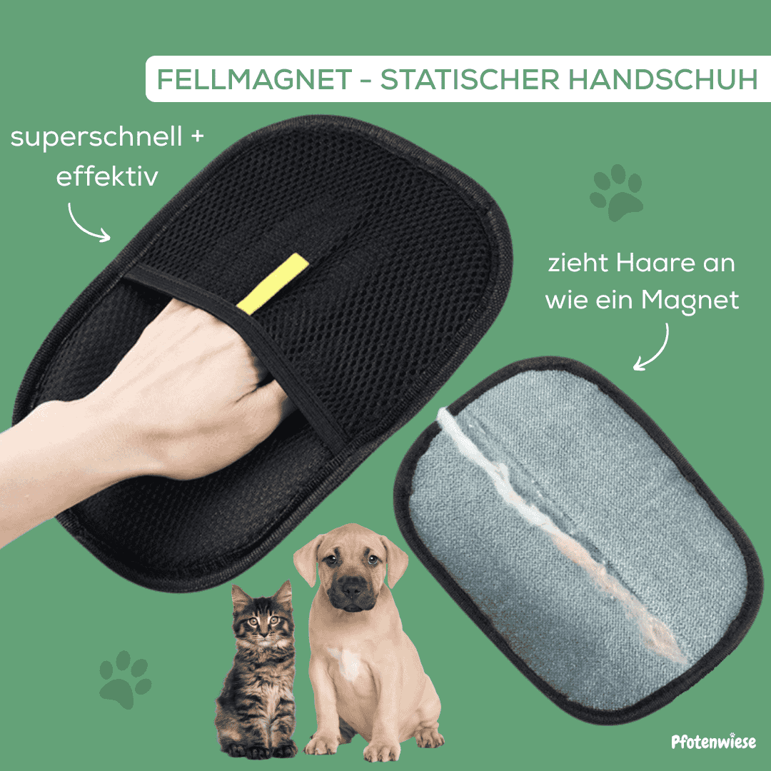Pfoten Wiese - Fellmagnet Handschuh Tierhaarentferner