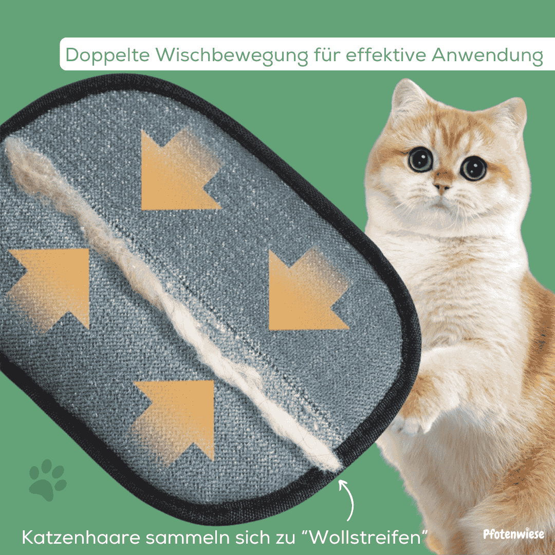 Pfoten Wiese - Fellmagnet Handschuh Tierhaarentferner
