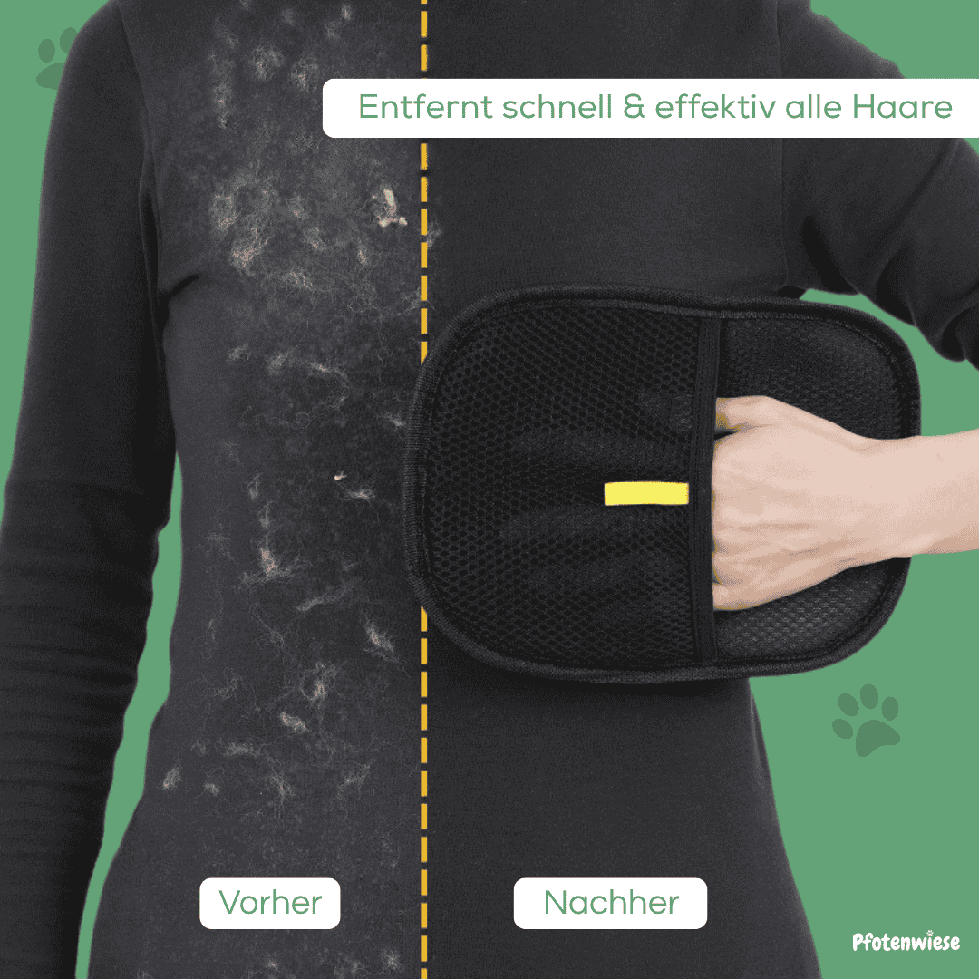 Pfoten Wiese - Fellmagnet Handschuh Tierhaarentferner