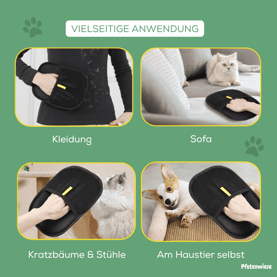 Pfoten Wiese - Fellmagnet Handschuh Tierhaarentferner