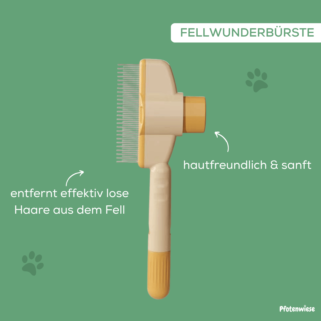 Fellwunderbürste - Pfotenwiese