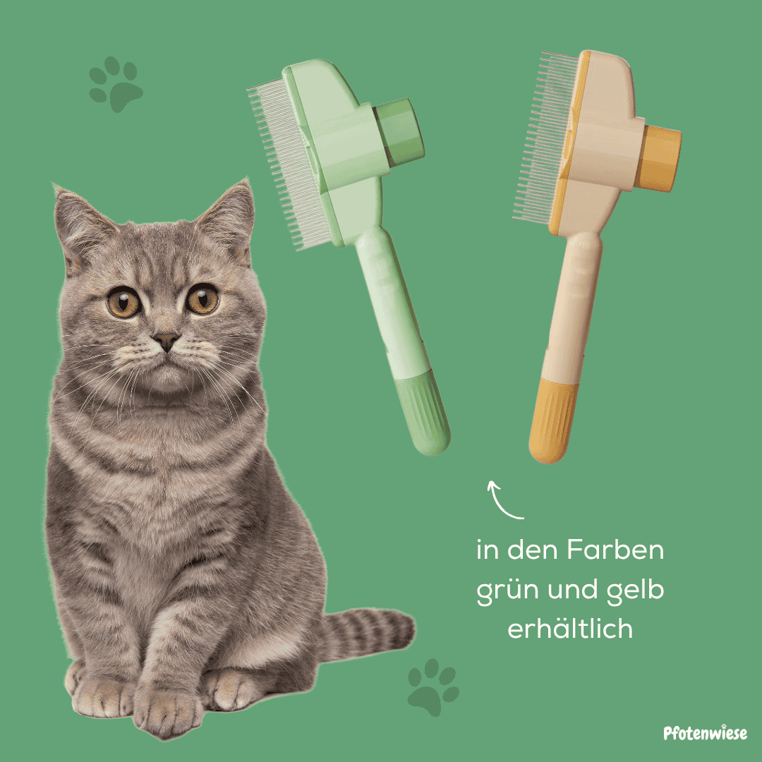 Fellwunderbürste - Pfotenwiese