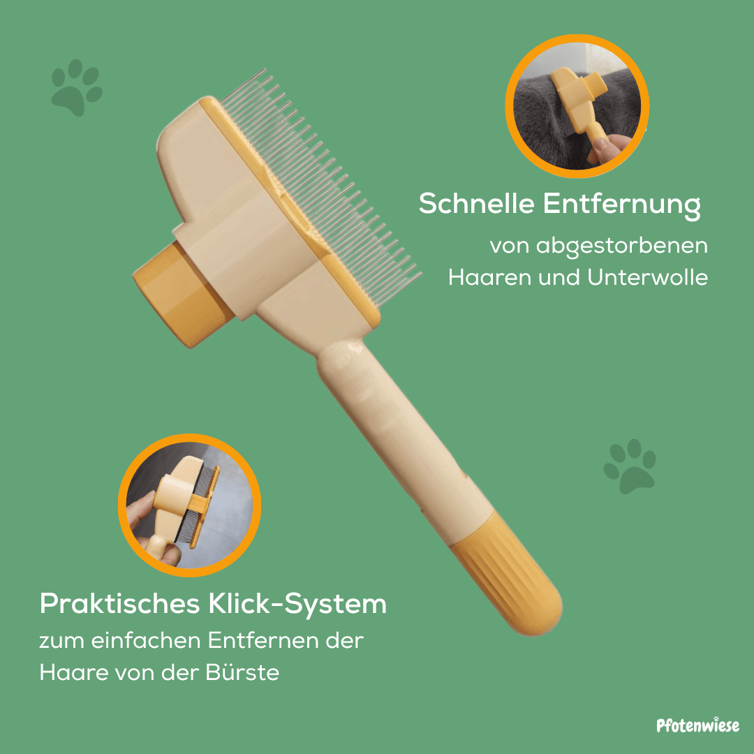 Fellwunderbürste - Pfotenwiese