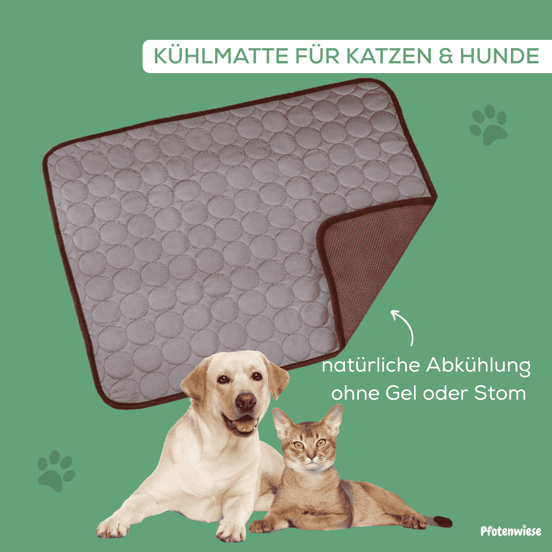 Pfotenwiese – Hitzeschutz Kühlmatte für Hunde und Katzen