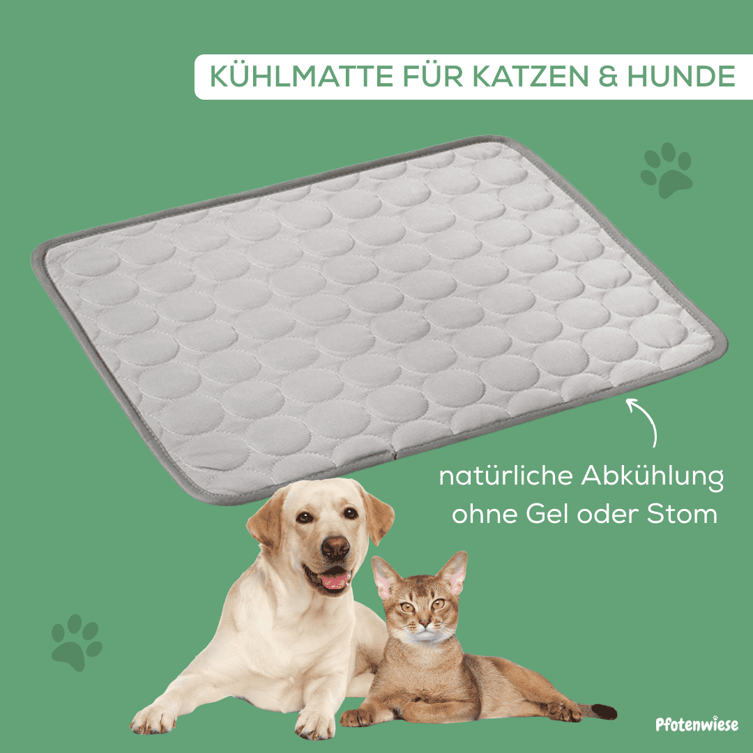 Pfotenwiese – Hitzeschutz Kühlmatte für Hunde und Katzen