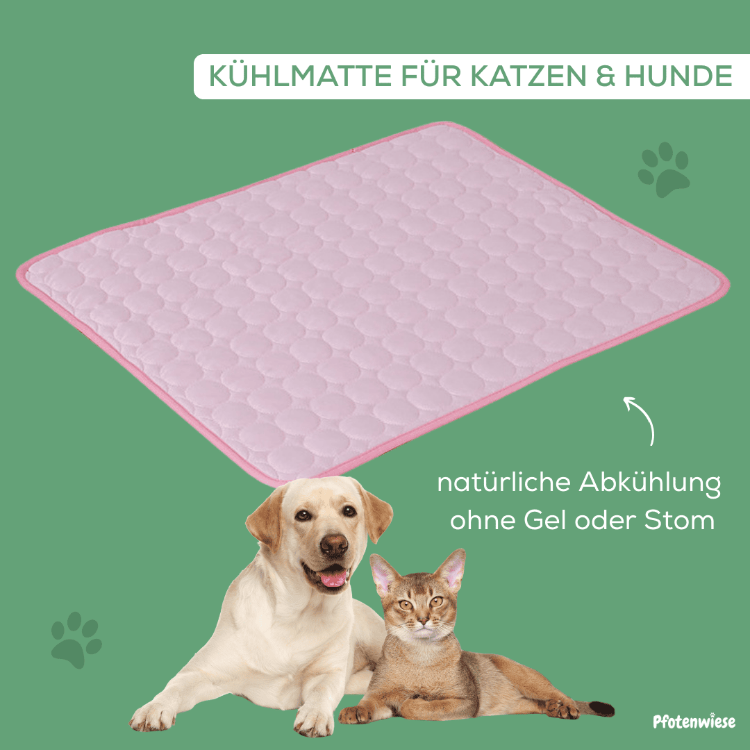 Pfotenwiese – Hitzeschutz Kühlmatte für Hunde und Katzen