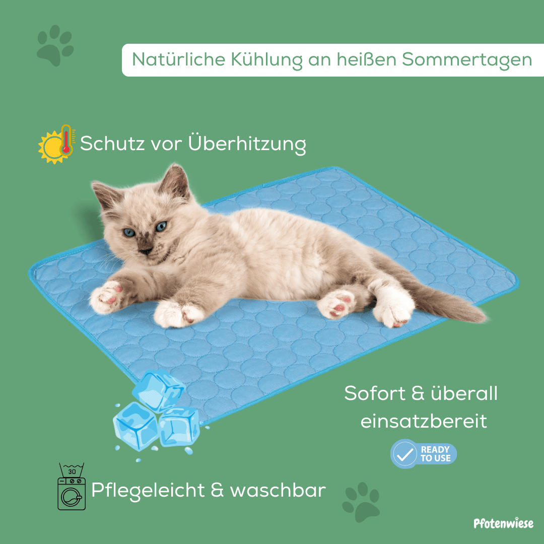 Pfotenwiese – Hitzeschutz Kühlmatte für Hunde und Katzen