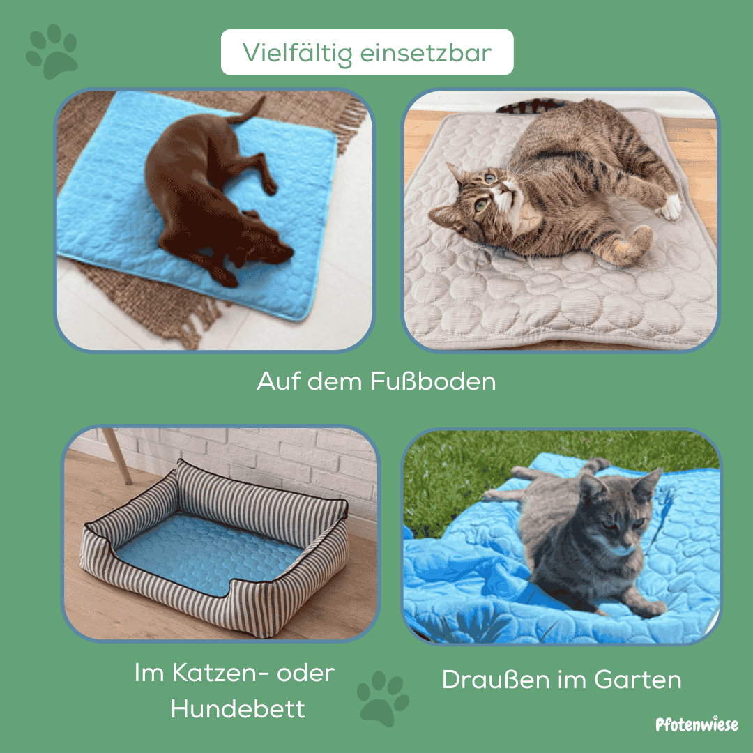 Pfotenwiese – Hitzeschutz Kühlmatte für Hunde und Katzen