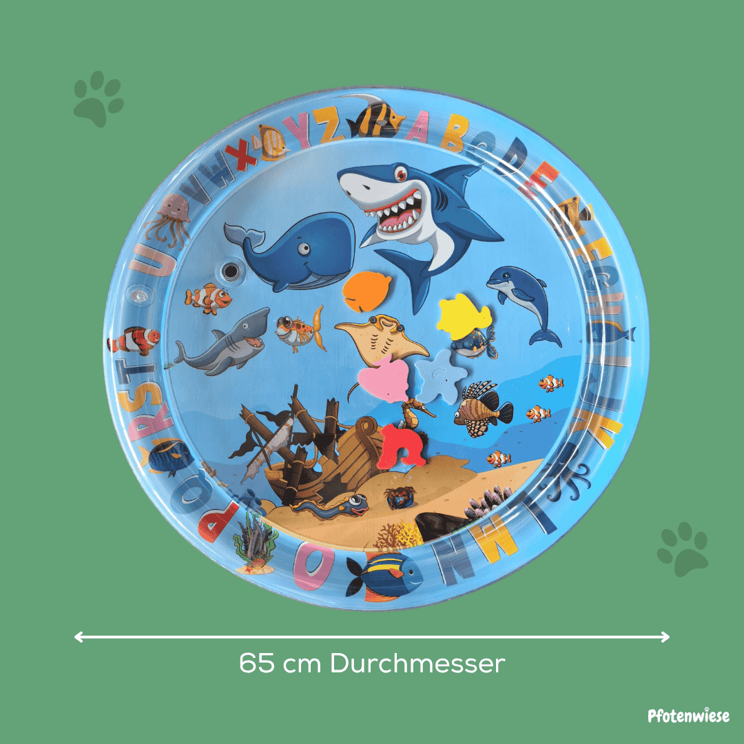 Pfotenwiese - Kühlendes Wasserspielbett