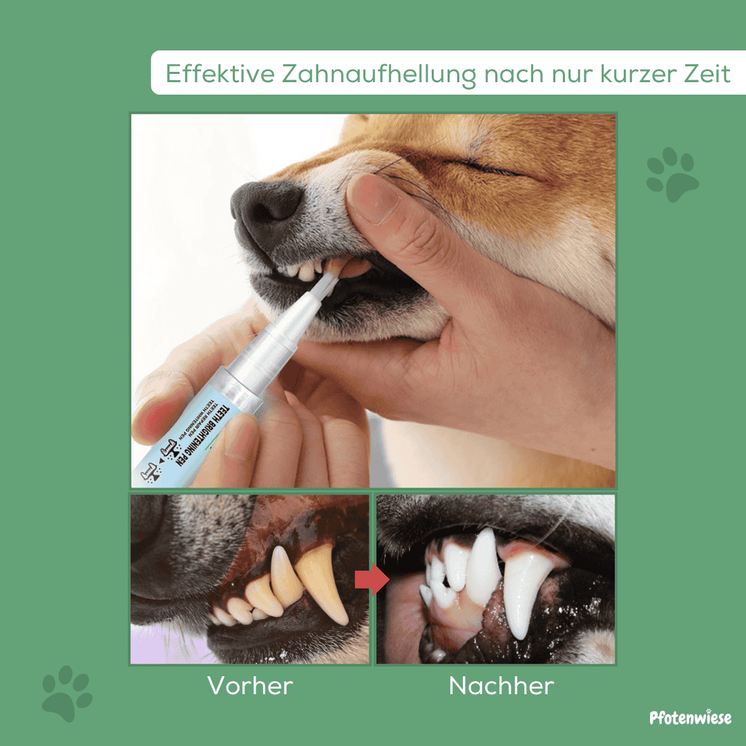 Pfotenwiese - Zahnpflegestift für Hunde und Katzen