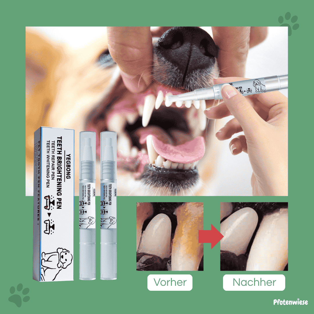 Pfotenwiese - Zahnpflegestift für Hunde und Katzen