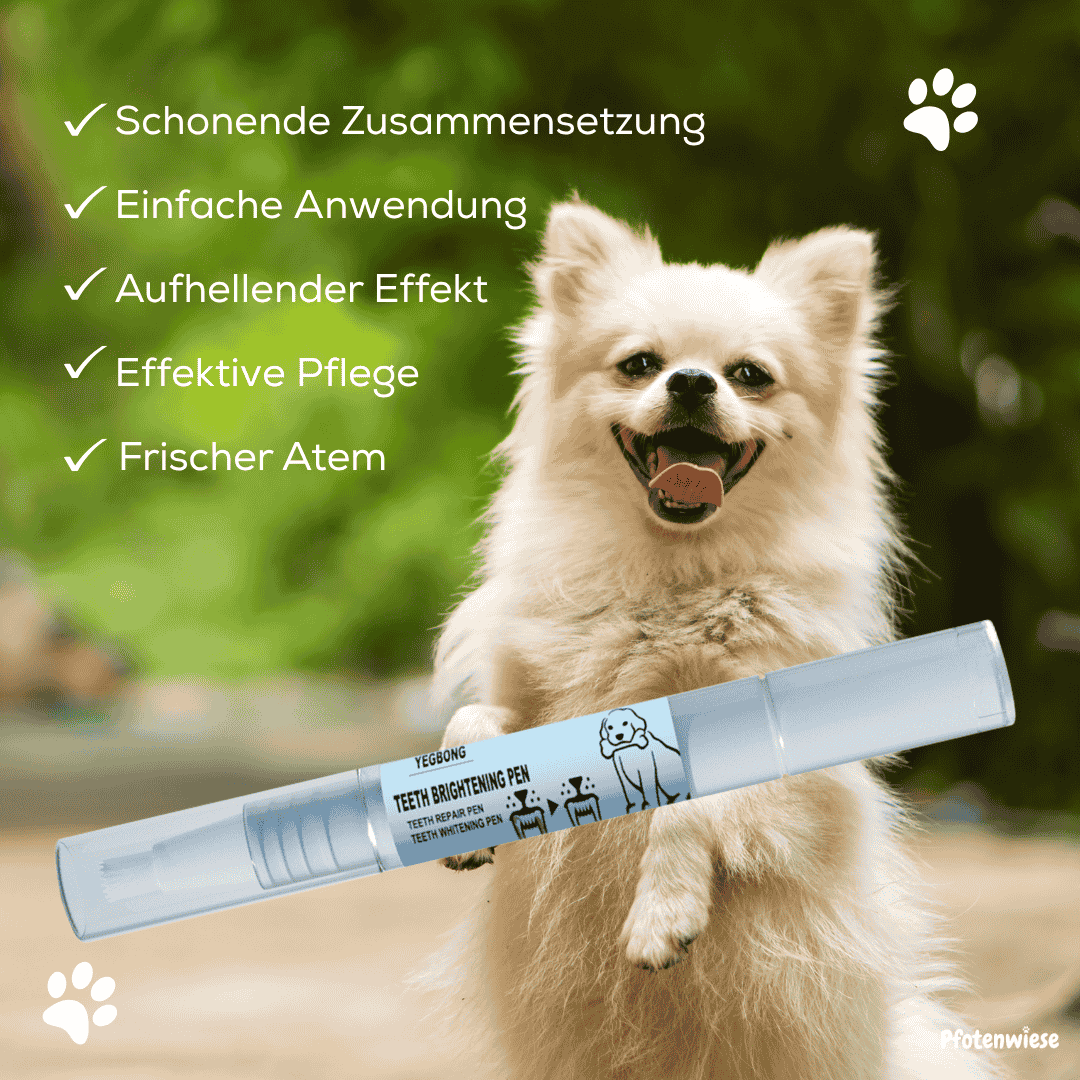 Pfotenwiese - Zahnpflegestift für Hunde und Katzen
