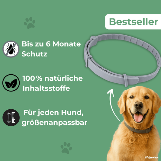 Natürliches Zecken - und Flohschutz Halsband