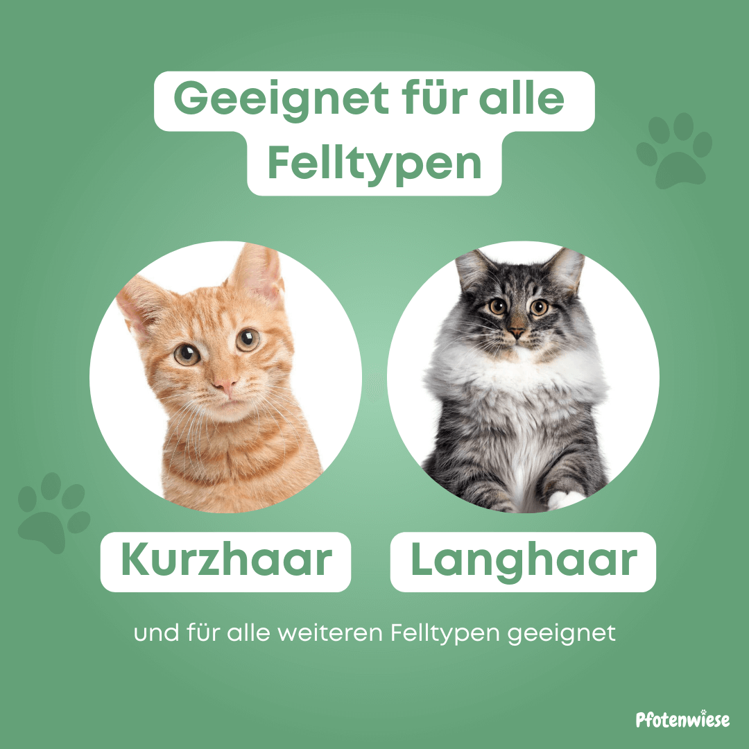 Pfoten Wiese - Dampfbürste für Katze und Hund