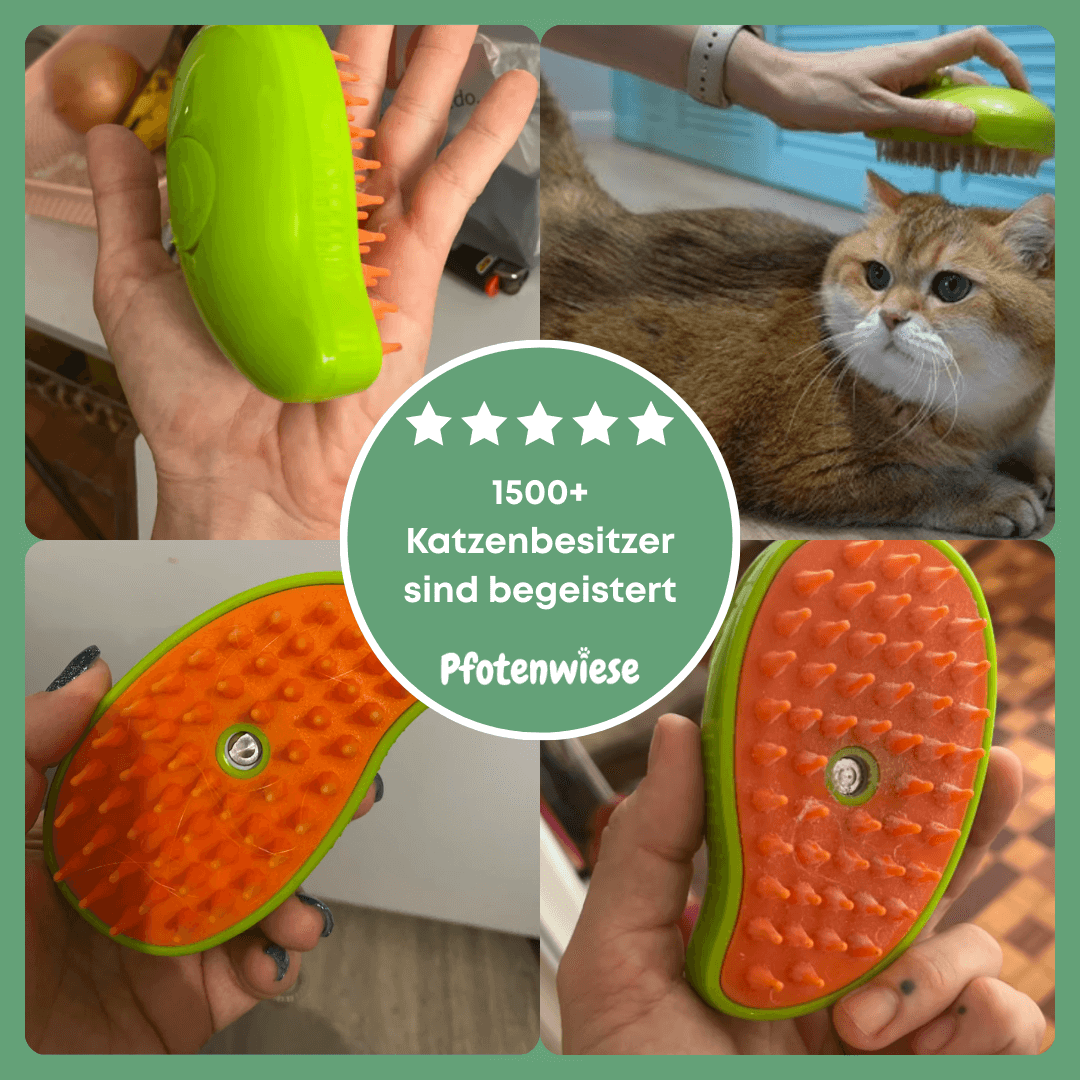 Pfoten Wiese - Dampfbürste für Katze und Hund