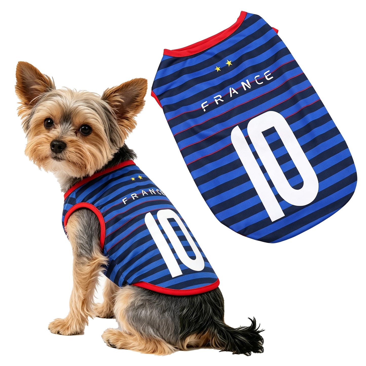 Pfoten-Wiese Hunde-Trikot zur WM 2026