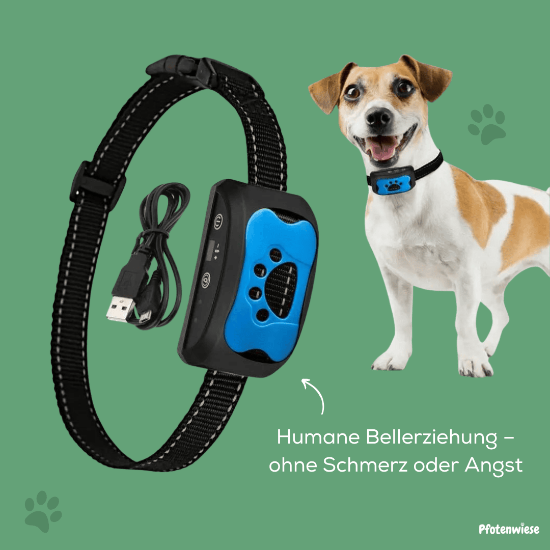 Pfotenwiese - Anti-Bell-Halsband für Hunde