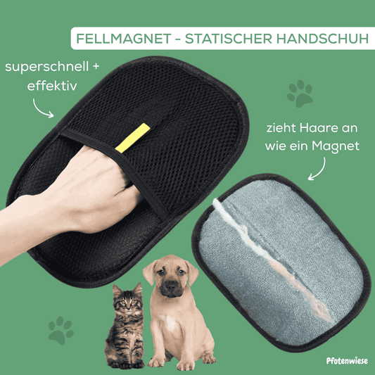 Pfoten Wiese - Fellmagnet Handschuh Tierhaarentferner