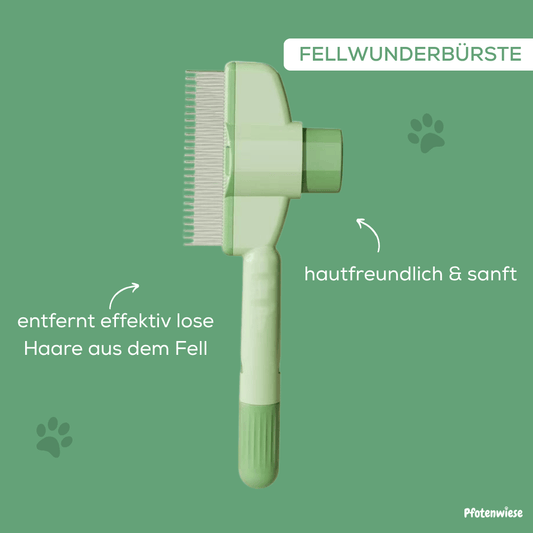 Fellwunderbürste - Pfotenwiese