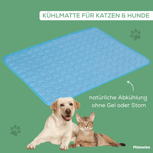 Pfotenwiese – Hitzeschutz Kühlmatte für Hunde und Katzen