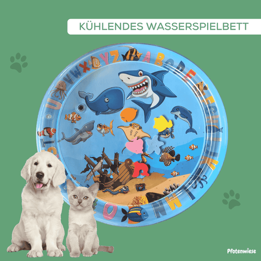 Pfotenwiese - Kühlendes Wasserspielbett