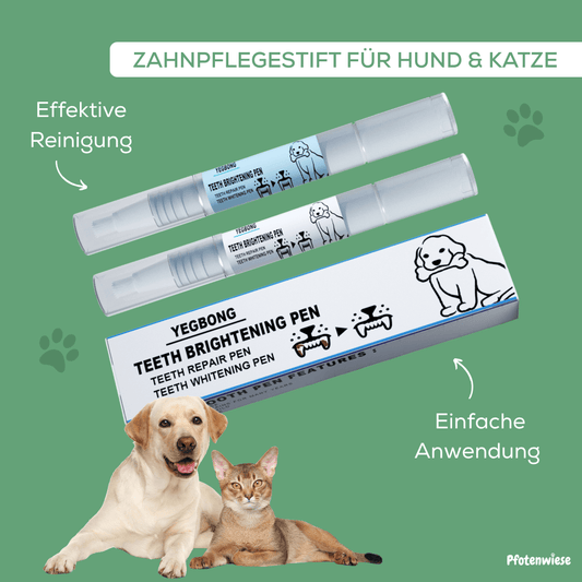 Pfotenwiese - Zahnpflegestift für Hunde und Katzen